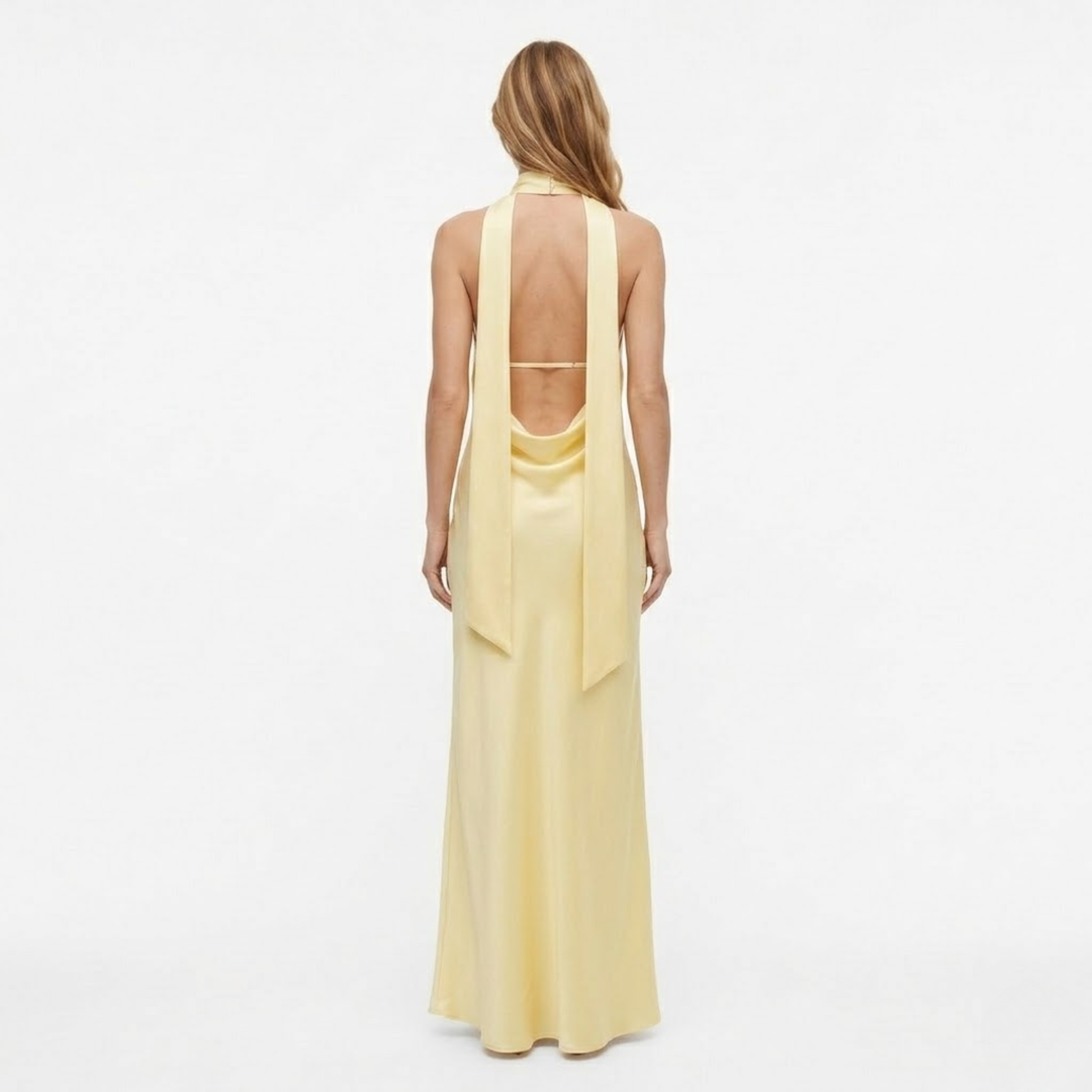 Evening Maxi Dress Deep V Neck Backless Elegant Silhouette Style
