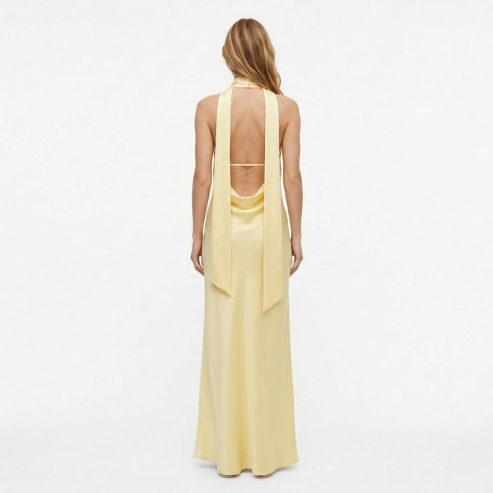 Evening Maxi Dress Deep V Neck Backless Elegant Silhouette Style